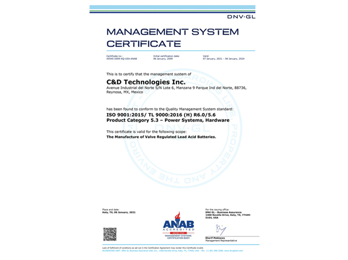 CD Technologies-9001-2015-2021